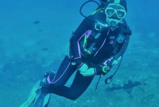 dizokizo Blog is Here